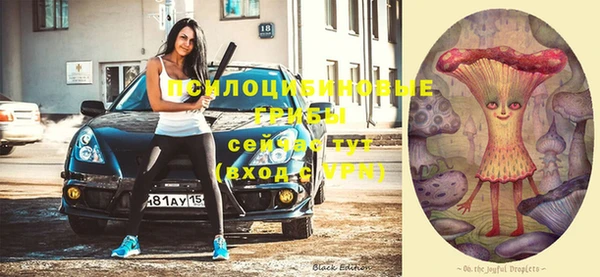 мет Каменногорск