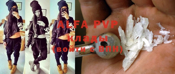 твердый Иннополис