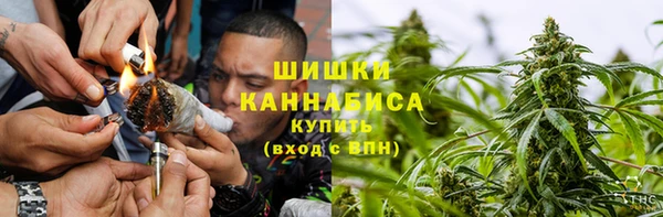 МДПВ Инта