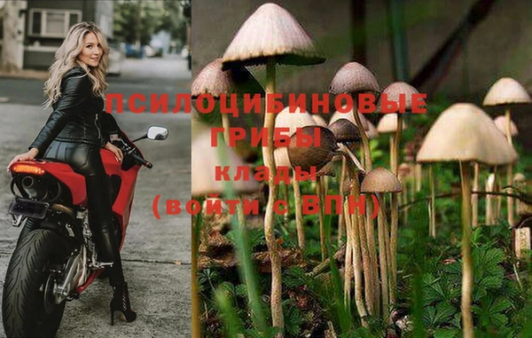 прущая мука Инсар
