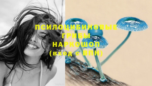 твердый Иннополис