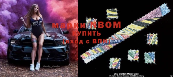 прущая мука Инсар