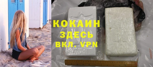 твердый Иннополис