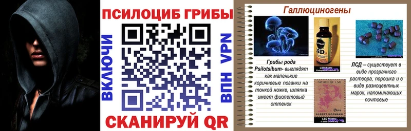 Галлюциногенные грибы ЛСД  МЕГА зеркало  Щёкино 